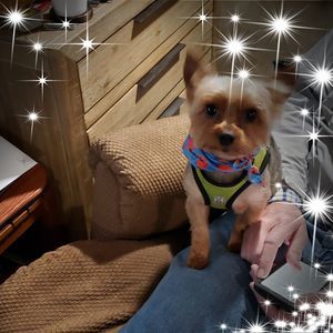 Meet your Posher, Natalie